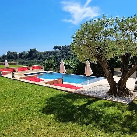 Magnifique Propriete, 5 Suites, 2 Piscines * カーニュ・シュル・メール